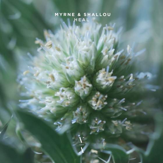 MYRNE - Heal cover art