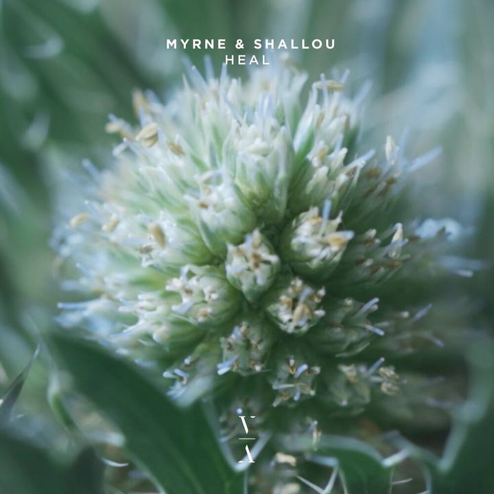 MYRNE - Heal cover art