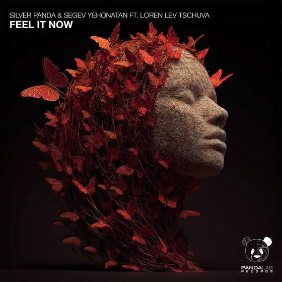 Silver Panda - Feel It Now cover art